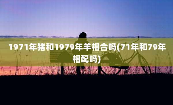 1971年猪和1979年羊相合吗(71年和79年相配吗)