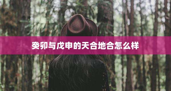 癸卯与戊申的天合地合怎么样