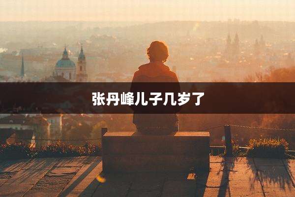 张丹峰儿子几岁了