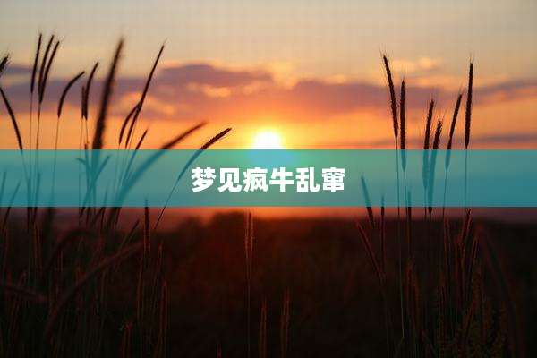 梦见疯牛乱窜