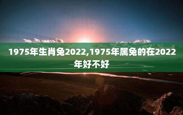 1975年生肖兔2022,1975年属兔的在2022年好不好