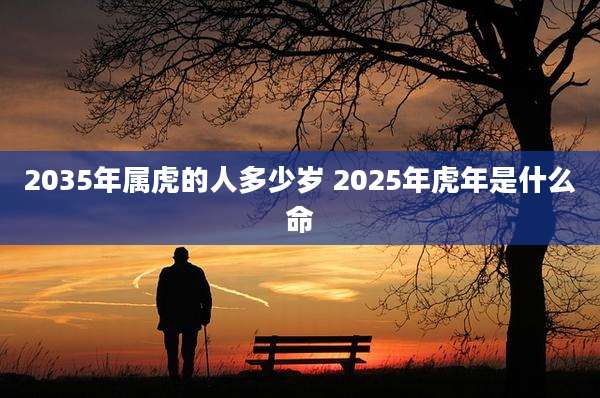 2035年属虎的人多少岁 2025年虎年是什么命