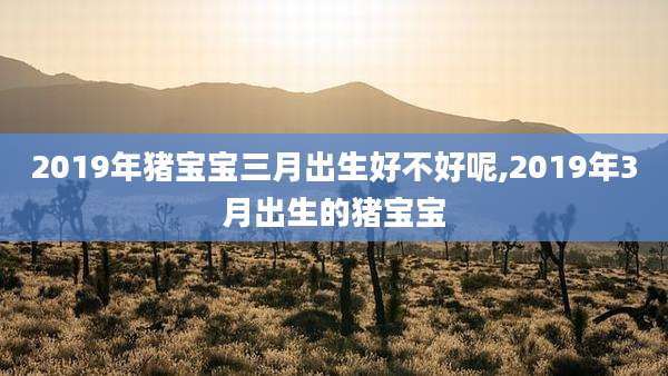 2019年猪宝宝三月出生好不好呢,2019年3月出生的猪宝宝