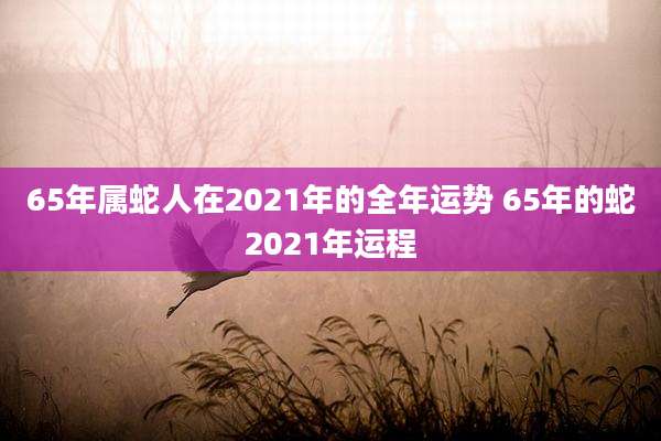 65年属蛇人在2021年的全年运势 65年的蛇2021年运程