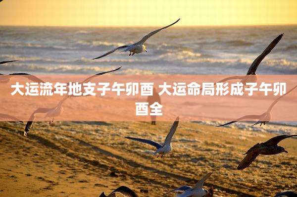 大运流年地支子午卯酉 大运命局形成子午卯酉全