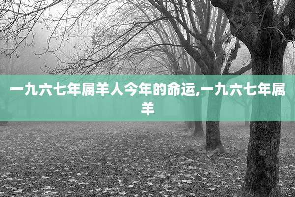 一九六七年属羊人今年的命运,一九六七年属羊
