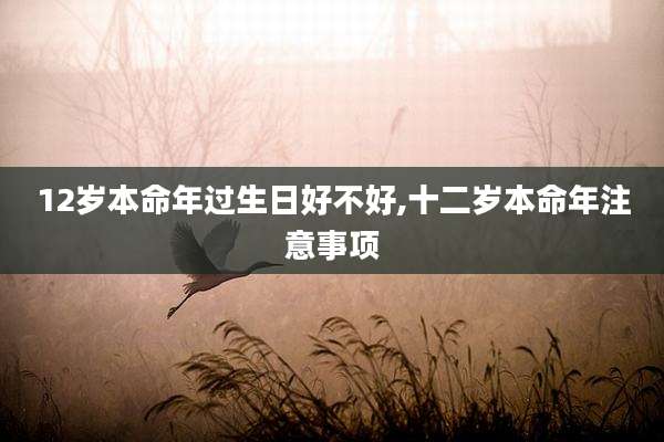 12岁本命年过生日好不好,十二岁本命年注意事项