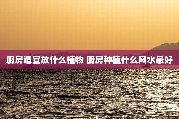 厨房适宜放什么植物 厨房种植什么风水最好