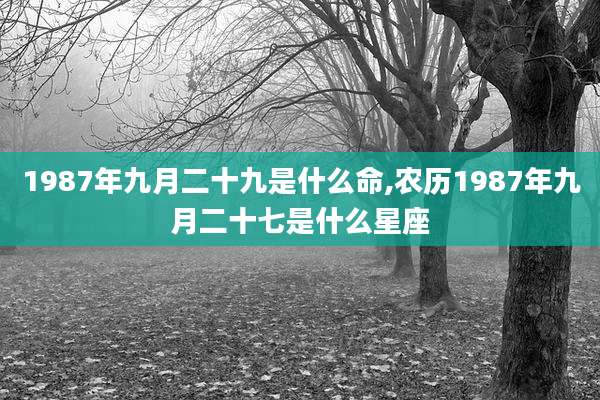 1987年九月二十九是什么命,农历1987年九月二十七是什么星座
