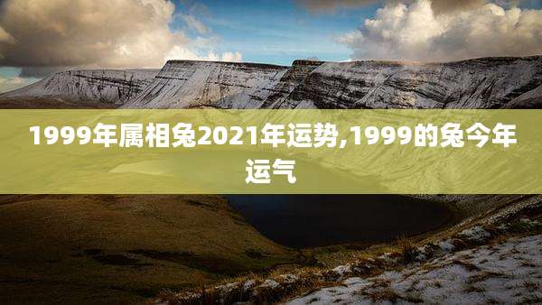 1999年属相兔2021年运势,1999的兔今年运气
