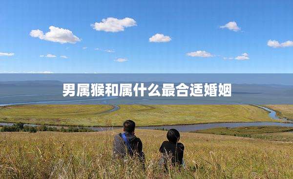 男属猴和属什么最合适婚姻