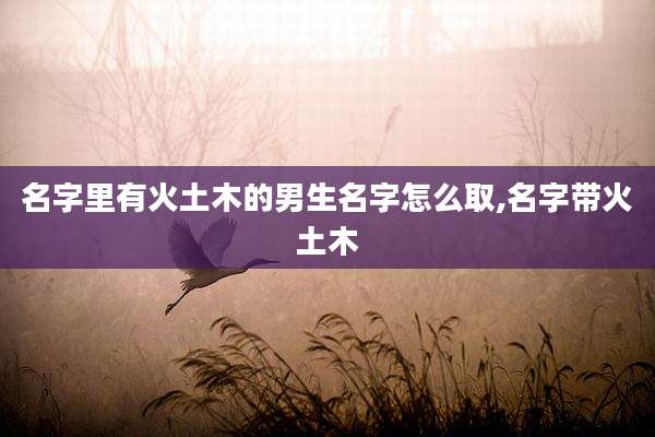 名字里有火土木的男生名字怎么取,名字带火土木