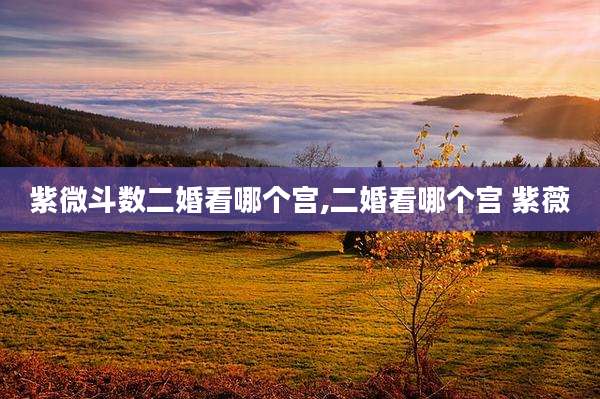 紫微斗数二婚看哪个宫,二婚看哪个宫 紫薇