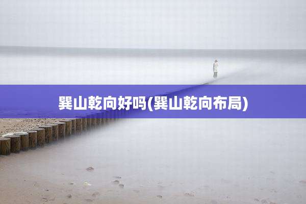 巽山乾向好吗(巽山乾向布局)