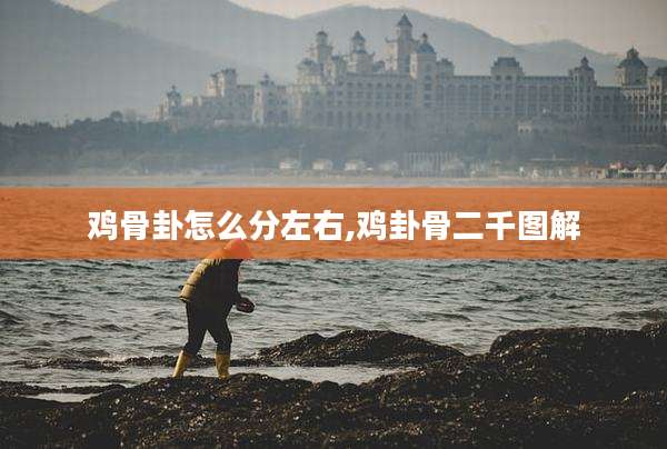 鸡骨卦怎么分左右,鸡卦骨二千图解