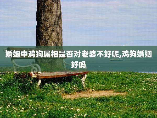 婚姻中鸡狗属相是否对老婆不好呢,鸡狗婚姻好吗