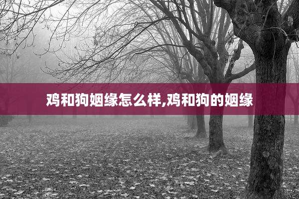 鸡和狗姻缘怎么样,鸡和狗的姻缘