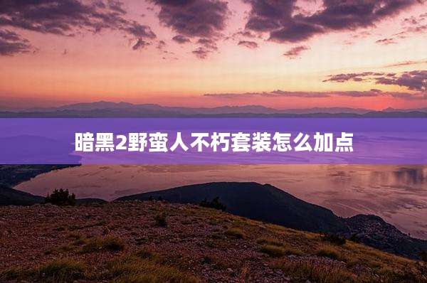 暗黑2野蛮人不朽套装怎么加点