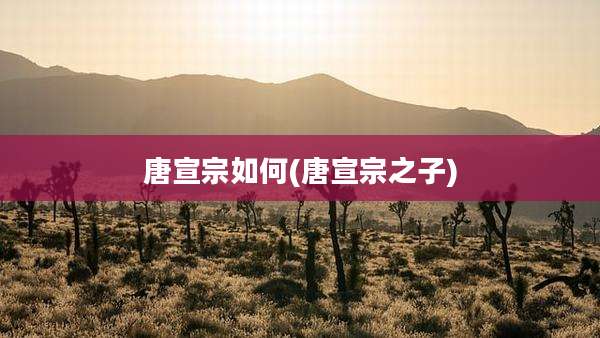 唐宣宗如何(唐宣宗之子)