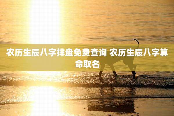 农历生辰八字排盘免费查询 农历生辰八字算命取名