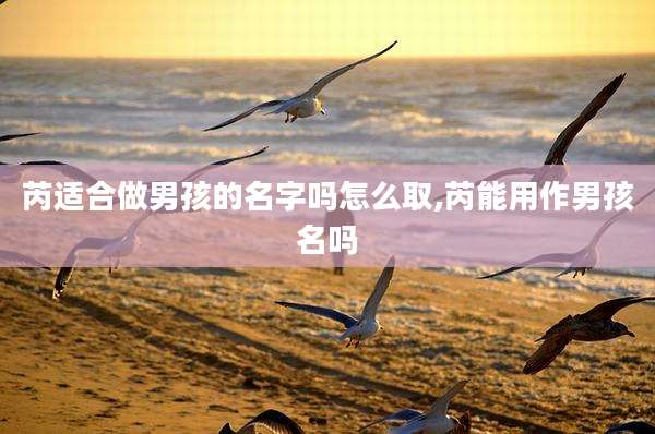 芮适合做男孩的名字吗怎么取,芮能用作男孩名吗