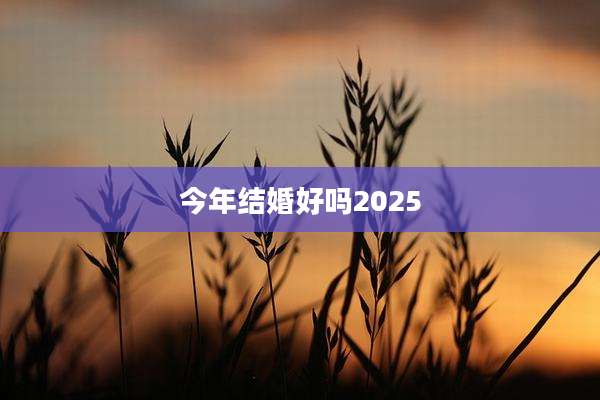 今年结婚好吗2025