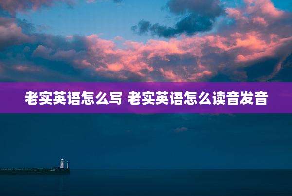 老实英语怎么写 老实英语怎么读音发音