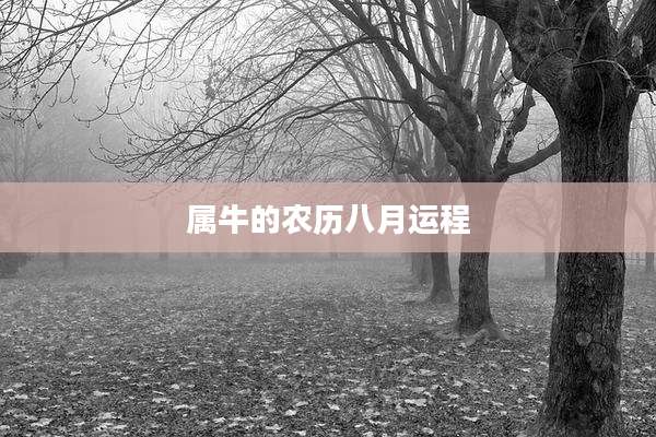 属牛的农历八月运程