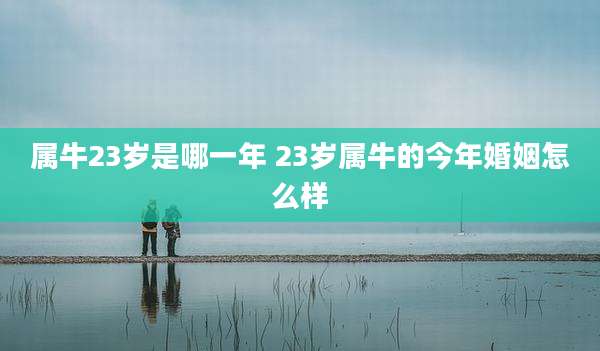 属牛23岁是哪一年 23岁属牛的今年婚姻怎么样