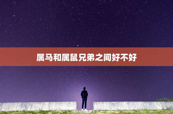 属马和属鼠兄弟之间好不好