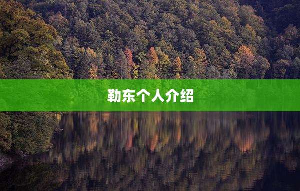 勒东个人介绍