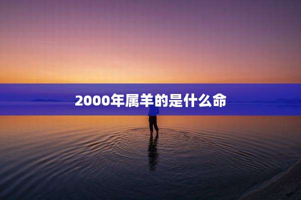 2000年属羊的是什么命