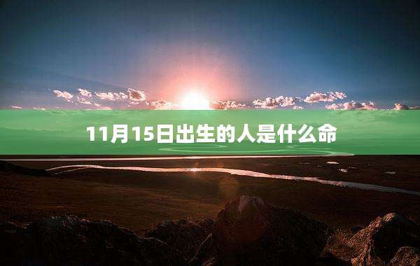 11月15日出生的人是什么命