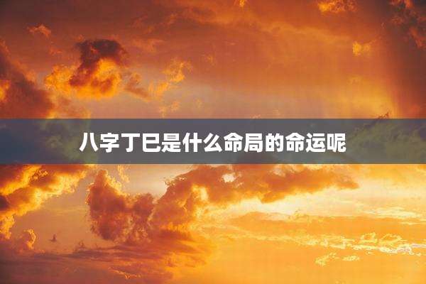 八字丁巳是什么命局的命运呢