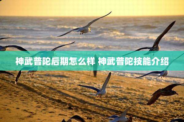神武普陀后期怎么样 神武普陀技能介绍