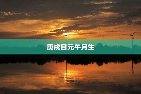庚戌日元午月生