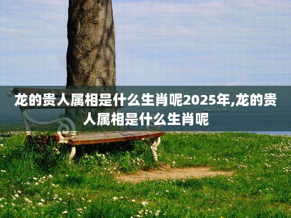 龙的贵人属相是什么生肖呢2025年,龙的贵人属相是什么生肖呢
