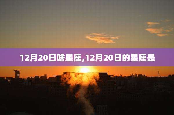 12月20日啥星座,12月20日的星座是