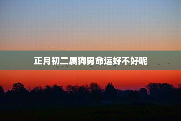 正月初二属狗男命运好不好呢