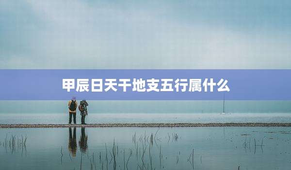 甲辰日天干地支五行属什么