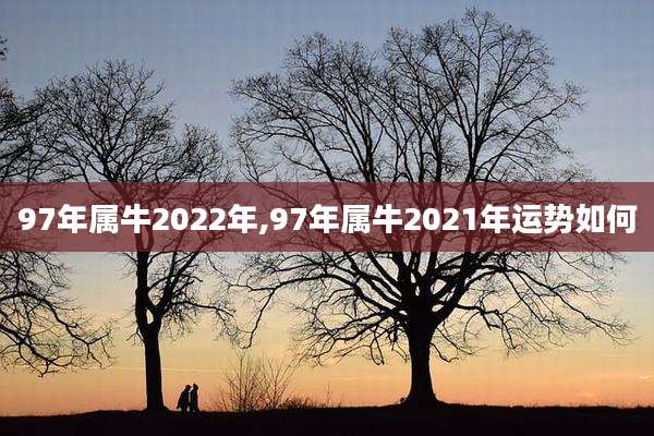 97年属牛2022年,97年属牛2021年运势如何