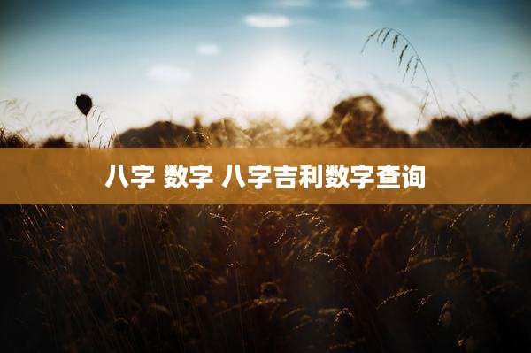 八字 数字 八字吉利数字查询