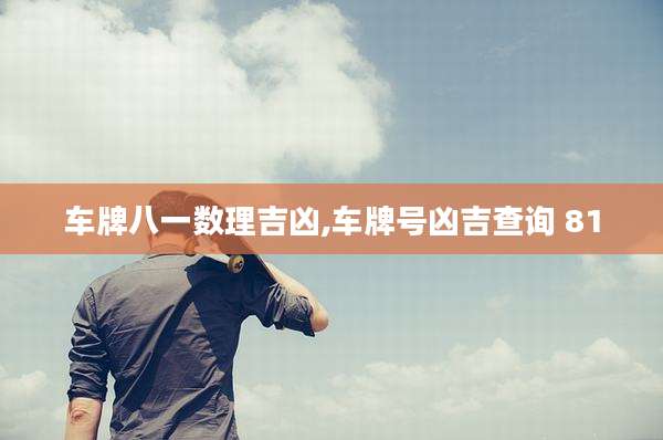 车牌八一数理吉凶,车牌号凶吉查询 81