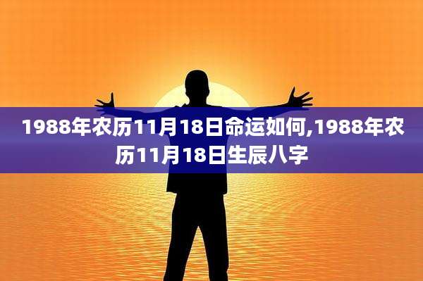 1988年农历11月18日命运如何,1988年农历11月18日生辰八字