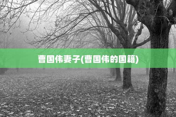 曹国伟妻子(曹国伟的国籍)
