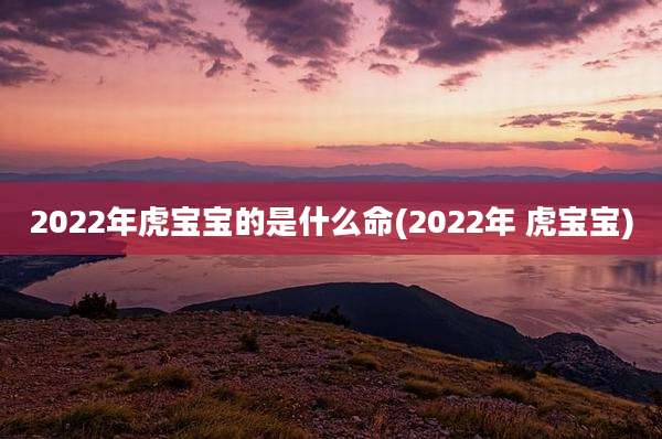 2022年虎宝宝的是什么命(2022年 虎宝宝)