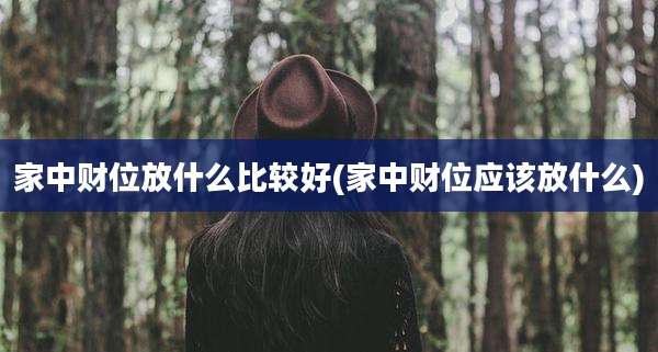 家中财位放什么比较好(家中财位应该放什么)