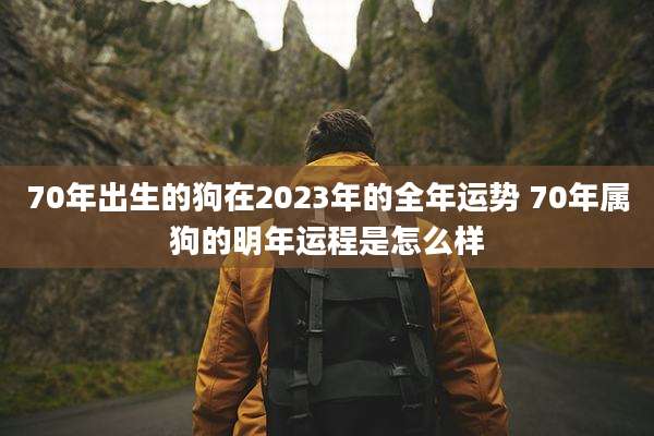 70年出生的狗在2023年的全年运势 70年属狗的明年运程是怎么样