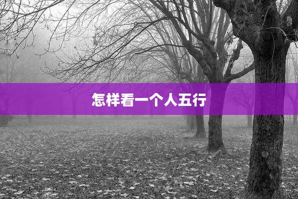 怎样看一个人五行