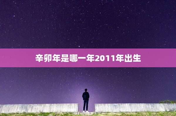 辛卯年是哪一年2011年出生